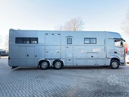 MERCEDES-BENZ Actros 2651 AKX  Pop-Out,  6 Pferde