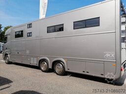 MERCEDES-BENZ Actros 2651 AKX  Pop-Out,  6 Pferde