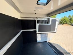 RENAULT Master STX 5 Sitzer Haras ex. Lang Automatik