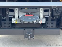 SCANIA P 320 / LBW / 2 x AHK / LENKACHSE / 18 PAL