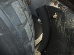 Volvo FM 9.310 + Euro 5 + Manual + Horse transport