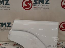 Mercedes Occ spatbord links Mercedes