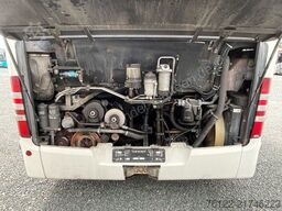 MERCEDES-BENZ O530CitaroG/Euro5/A23Lion?sCity/A40