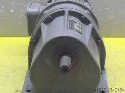 Casini M2/220