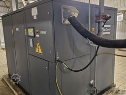 Atlas Copco GA160 (SOK-2) AIF-116946