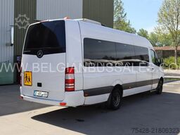 Mercedes-Benz Sprinter 516 / Travel / Transfer 45/Retarder