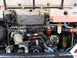 Iveco Evadys 13m / NEW / Rear door / 6x units / 3-poi...