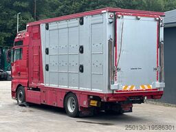 MAN TGX 18.580 4x2 3.Stock FINKL Viehtransporter