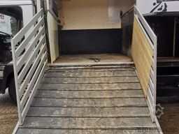 MAN 14.192 Pferdetransporter