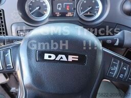 DAF XF 460 / SSC / Mega / German