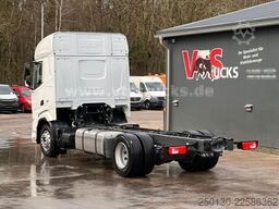 DAF XF 480 FA 4x2 Fahrgestell Blatt-/Luft *NEU*