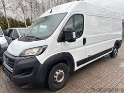 FIAT Ducato Maxi|L4H2|0°C|FRISCHDIENST|WEBASTO+WINTER