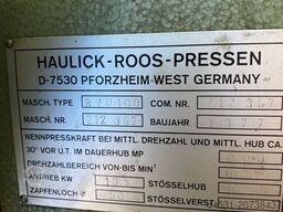 Haulick & Ross RVD 100