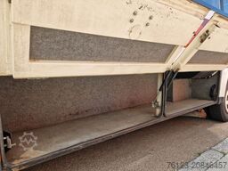 MERCEDES-BENZ Ernst Auwärter Teamstar Vario 814 H Kennzeichen