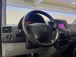 MERCEDES-BENZ Sprinter 313/316 CDI *Sortimo Regale*Garantie*