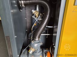 Kaeser BSD 62