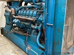 ERCOLE MARELLI 1312T