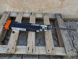 APEX TSE 021098 / 021085