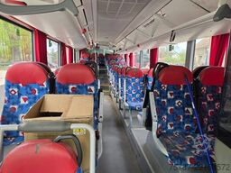 MERCEDES-BENZ Citaro O530 LE, Gurten,  Armlehnen, Gardinen