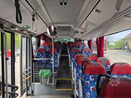 MERCEDES-BENZ Citaro O530 LE, Gurten,  Armlehnen, Gardinen