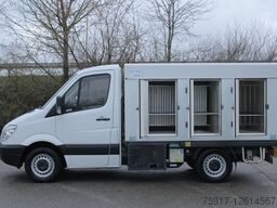 MERCEDES-BENZ Sprinter 310 ColdCar 3+3 Eis/Ice -33°C