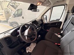 FIAT Ducato Maxi