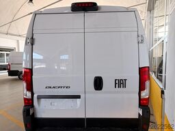 FIAT Ducato Maxi