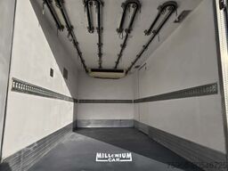 Iveco 75E18 CELLA TRASP CARNE ATP 2028