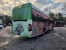 MERCEDES-BENZ Citaro O530 LE, Gurten,  Armlehnen, Gardinen