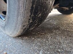 MERCEDES-BENZ Citaro O530 LE, Gurten,  Armlehnen, Gardinen