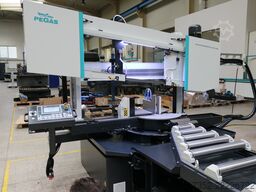 Pegas-Gonda 440x600 Horizontal X-NC-BS