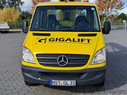 Ruthmann TBR 200 (10153)