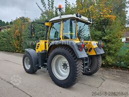 FENDT 313 V SCR, VARIO* 1.Hand * TMS * Netto: 46.000.-