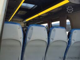MERCEDES-BENZ Sprinter 516, Daily, Crafter