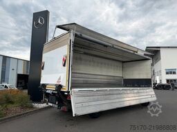 Ewers PRASQ18 Schwenkwand SAF LBW BÄR 2.500kg
