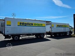 Ewers PRASQ18 Schwenkwand SAF LBW Bär 2.500kg