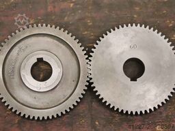 unbekannt 27 bis 120 Zähne