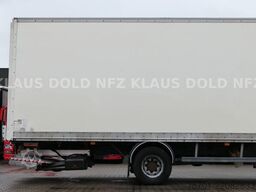 VOLVO FL 250 Koffer Rolltor LBW Euro 6