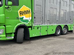 DAF XF 480 LL 6x2 3.Stock Menke Viehwagen m. Hubdach