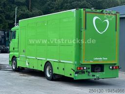 MAN TGX 18.420 4x2 1.Stock Cuppers Viehtransporter