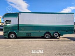 SCANIA R 730 EURO 6 CELLA FRIGO 8,40