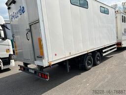 SCANIA Pferdetransporter