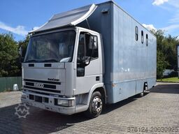 iveco 80E15 Eurocargo *Pferdetransporter*4 Pfeder
