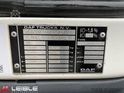 DAF LF 210 FA*DHollandia LBW*486Tkm*Turbo Schaden