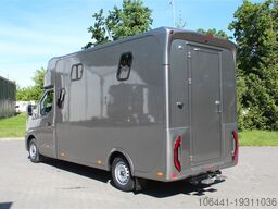 Renault Master Pferdetransporter Neues Modell