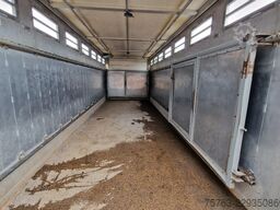Volvo FH 13.420 6x2 - 1 deck livestock - Manual gearb...