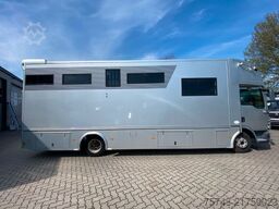 MAN 8220 TGL    3-4 Pferde Wohnung Luftfederung