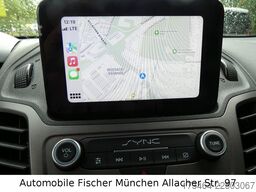 FORD Transit Connect Kasten Xenon Durchlade Sortimo