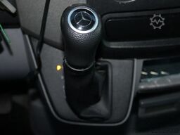 Mercedes-Benz Sprinter 316 + THERMO KING