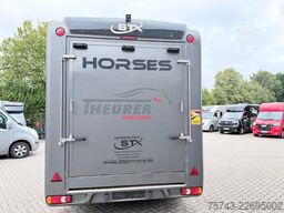  STX 3,5T  2 Pferd   Pferdeanh. Wohn. Dusche, WC